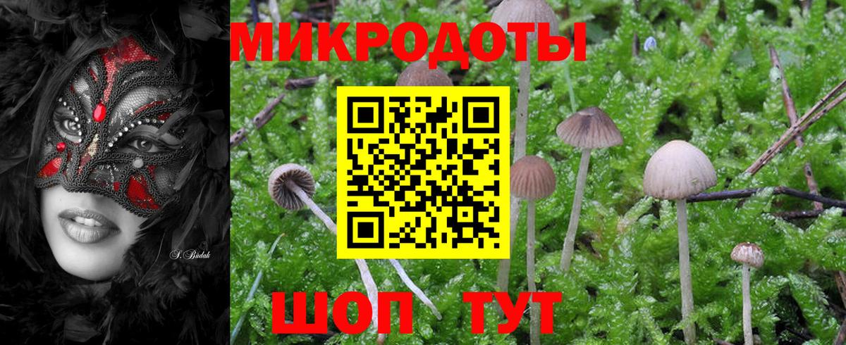 Петрозаводск  закладки  Вход с VPN  Галлюциногенные грибы прущие грибы 